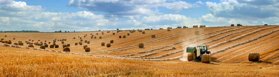 Landwirtschaftlicher Betrieb